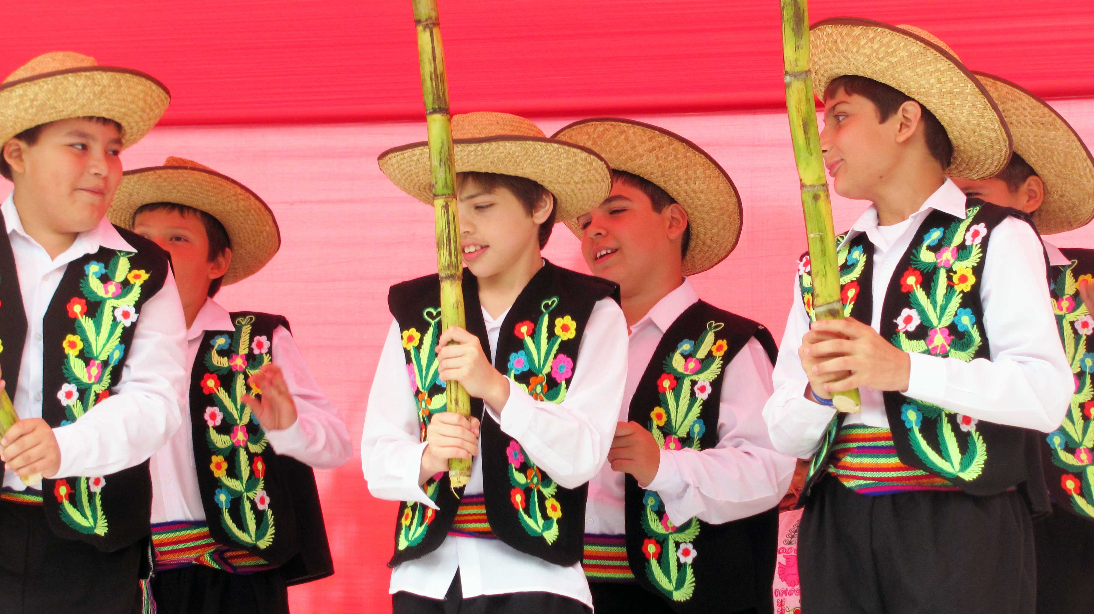 Aniversario del colegio 2015